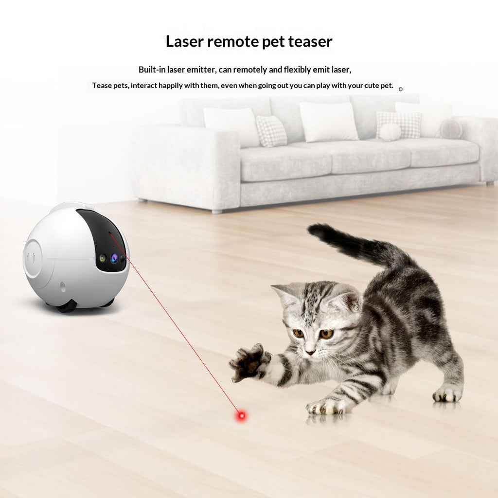 Laser remote pet teaser with a cat interacting with it on a wooden floor.