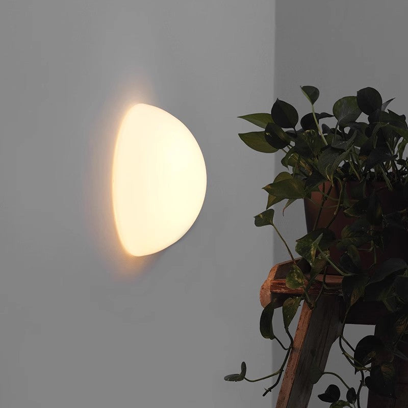 Sunset or sunrise with a plant in the foreground