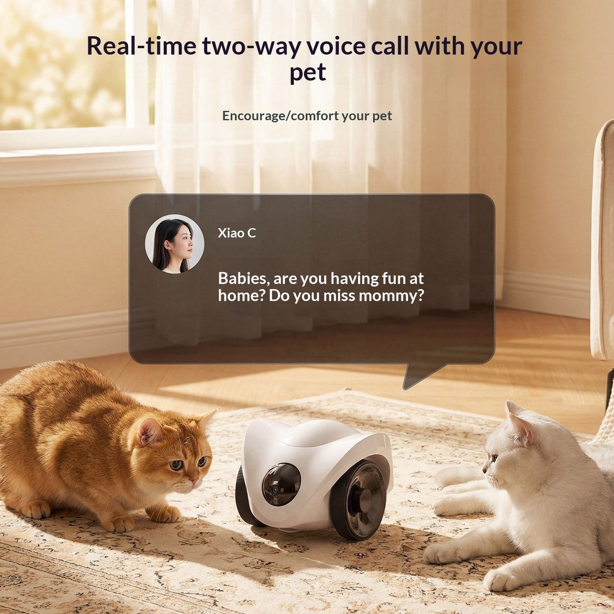 A pet toy robot ball sits on a patterned rug in a sunlit room, with an orange cat on the left and a white cat on the right looking at it. A large semi-transparent speech bubble shows a voice call interface with the text 'Real-time two-way voice call with your pet' and a message from 'Xiao C'.