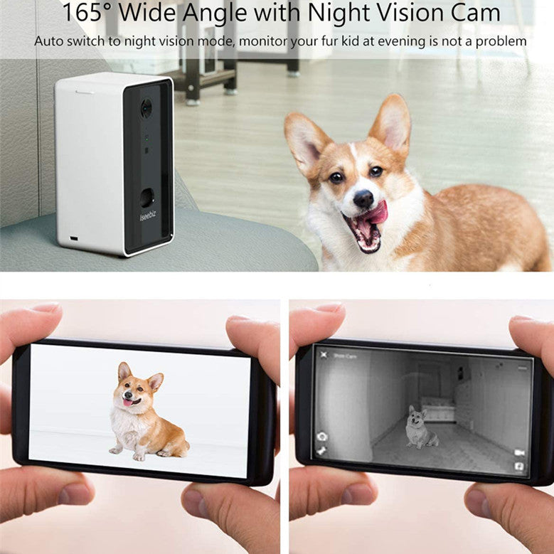 Pet camera with night vision feature, showing a dog and smartphone screen displaying the camera view.