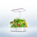Garden box with plants and a LED grow light on a white background