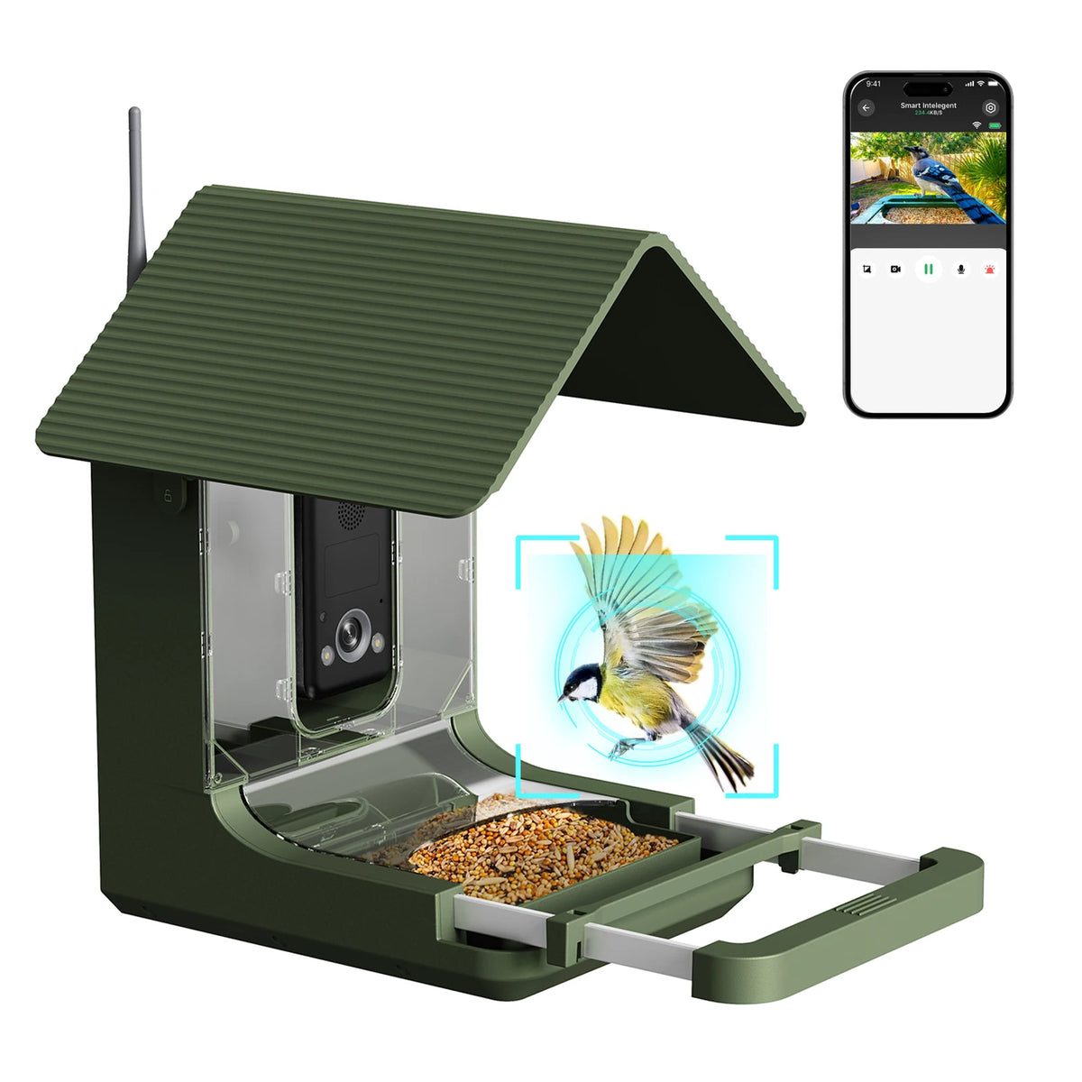 Solar 4K AI Bird-Watching Feeder Camera