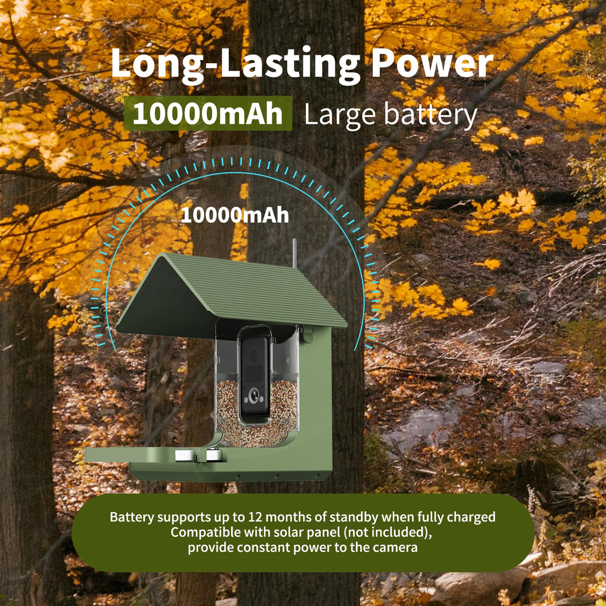 Solar powered bird feeder outdoors