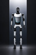 Tiangong humanoid robot