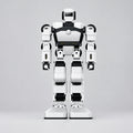UBTECH Yanshee AI Humanoid Robot