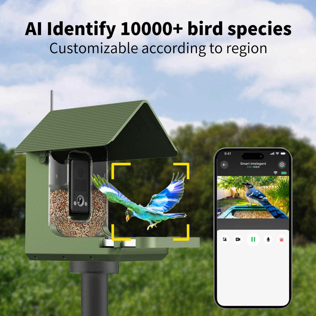 AI bird species identification