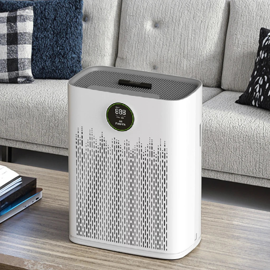 Air purifier at home