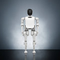 Noetix N2 Agile Companion Humanoid