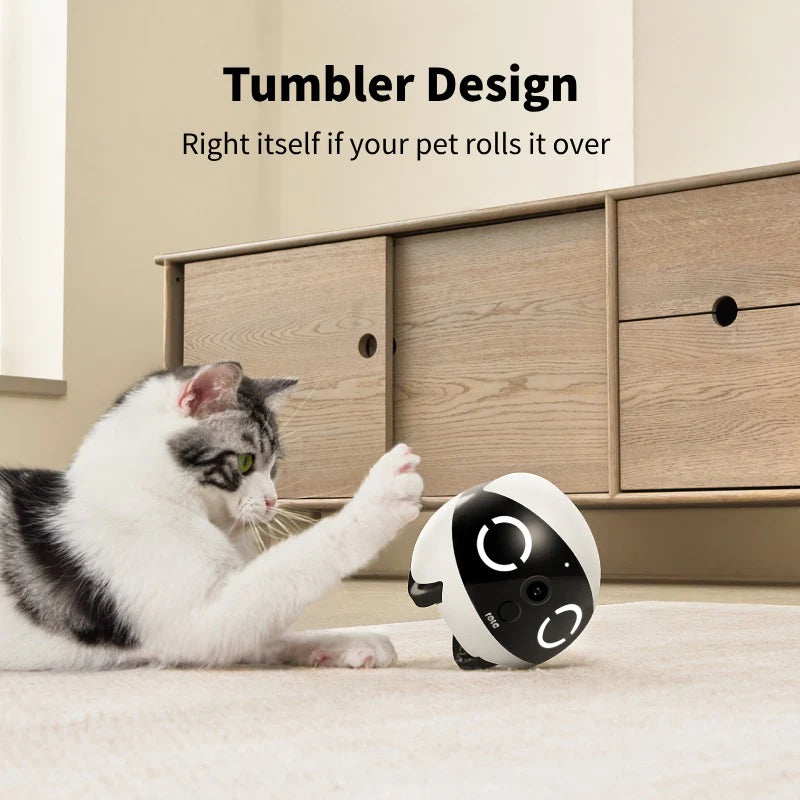 ROLA Mini pet monitor front view
• 2K mobile pet camera robot Cat playing with a self-righting robot toy on a bed