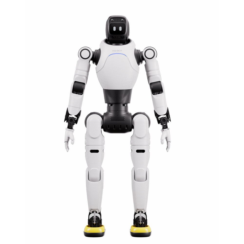 AgiBot X2 view