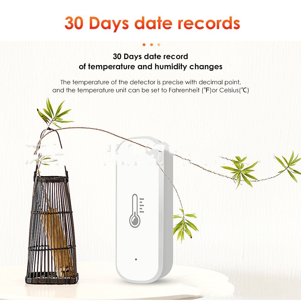Zigbee smart hygrograph with WiFi app monitoring and voice control for temperature and humidity tracking