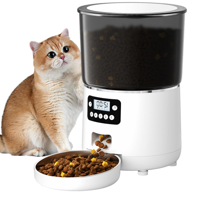 Cat next to an automatic pet feeder with a bowl of food on a white background