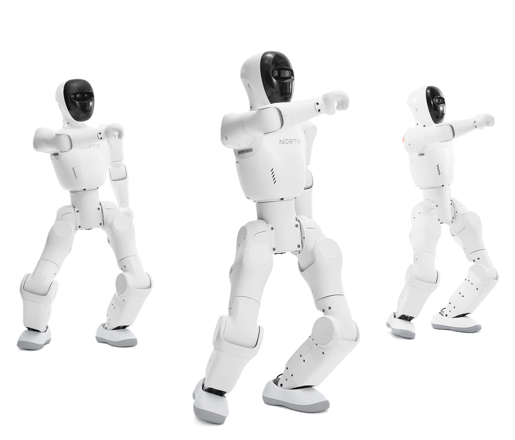 Noetix Bumi robots group control
