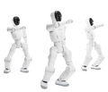 Noetix Bumi robots group control