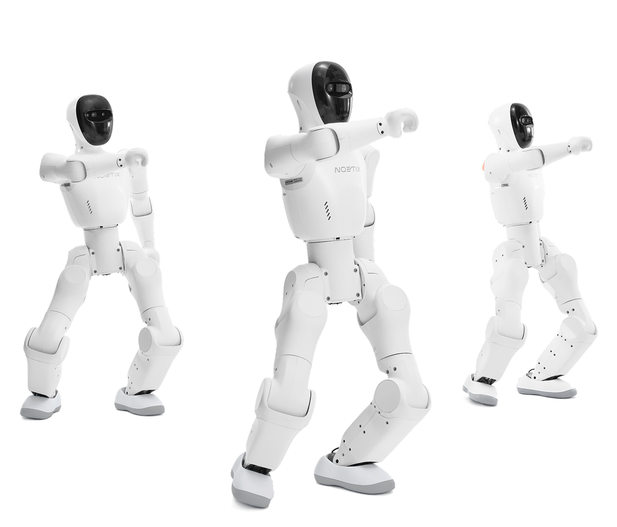Noetix Bumi robots group control
