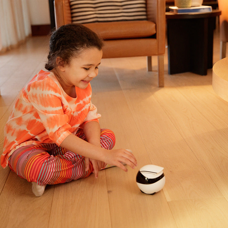 Buddybot Companion Robot