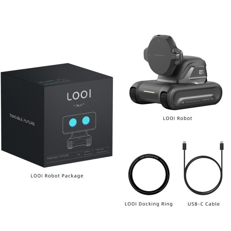 Intelligent AI robot with face recognition, gesture interaction, and voice conversation features