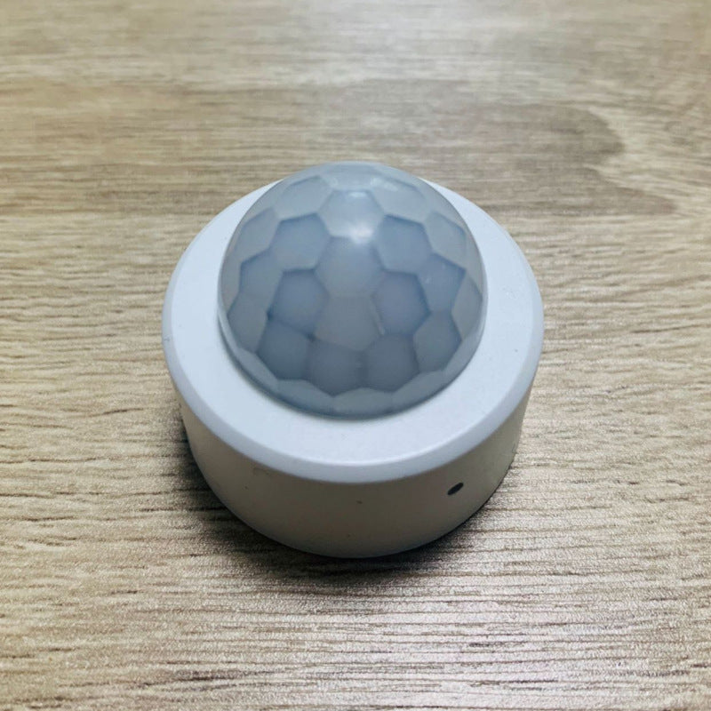 Graffiti Zigbee human motion sensor PIR smart home detector”