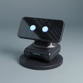 Kavo Mobile AI Assistant Robot