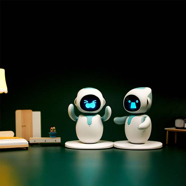 Eilik on a desk